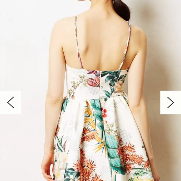 CAMEO Botanic Atelier Peplum Dress XS - Picture 3 of 12